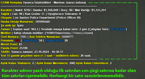 /stats Ekran Görüntüsü Örnek